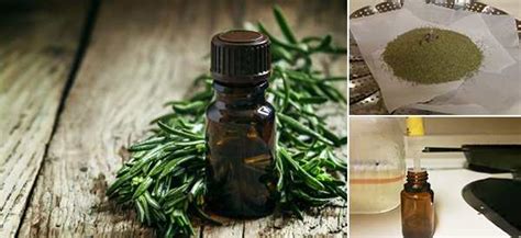Behavior changes such as tiredness, and lack of. How To Make Tea Tree Oil To Treat Infections - Ask a Prepper