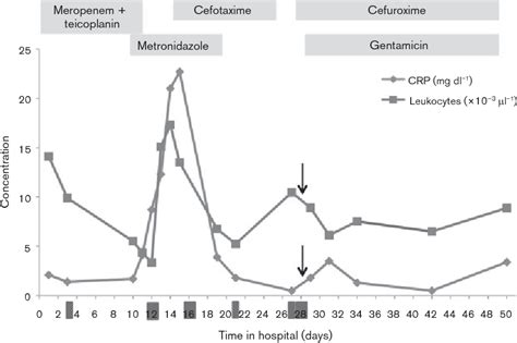 Figure 1 From A Bumpy Road To The Diagnosis Of A Kytococcus Schroeteri