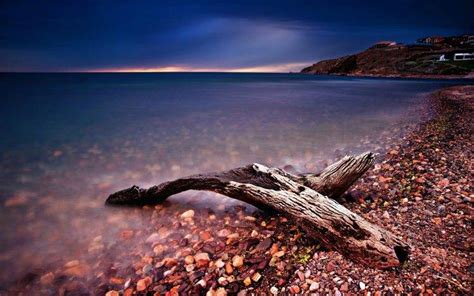 Nature Sea Wood Stones Sunset Clouds Beach Pebbles Coast Calm