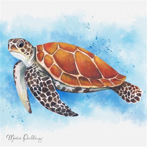 Watercolor Sea Turtle Turtle Watercolor Sea Turtle Watercolor Sea