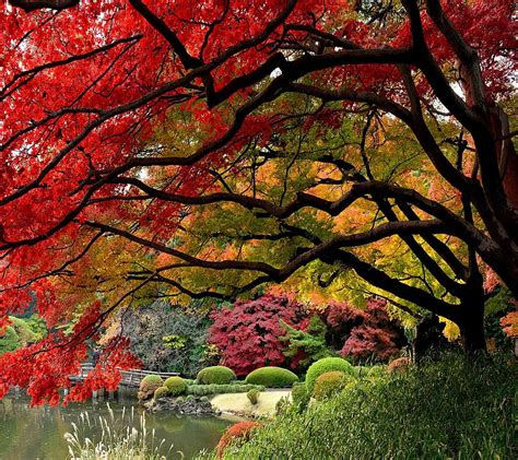 Autumn Garden Autumn Garden Hd Wallpaper Peakpx