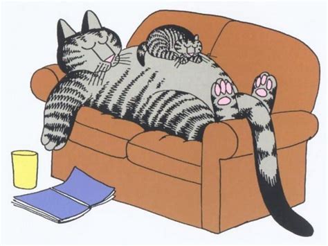 Sleeping Cat Painting Bernard Kliban Kliban Cat Cats Illustration
