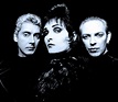 Siouxsie and The Banshees - Live At Royal Albert Hall 1988 - Past Daily