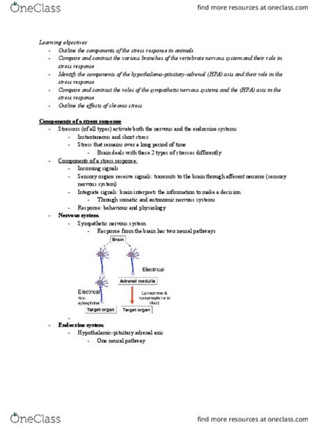 BIOL 260 Lecture Notes Spring 2018 Lecture 14 Chromaffin Cell