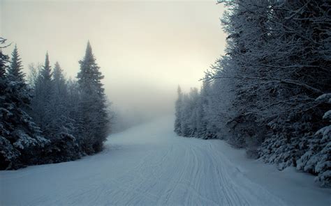 Free Images Snow Landscape Tree Cold Nature Sky Mountain Frost