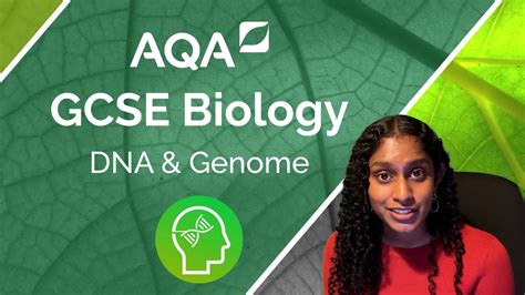 Aqa Gcse Biology Dna And The Genome Youtube