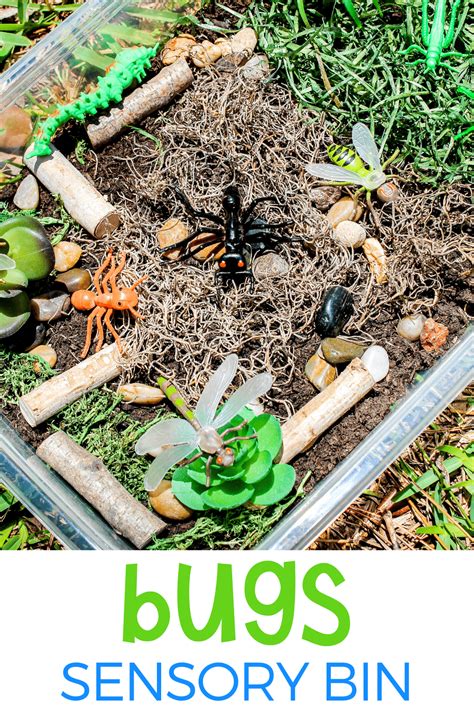 Bug Sensory Bin Activities For Preschoolers Sensory Bins Bug