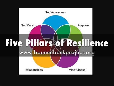 Five Pillars Of Resilience By Ashley Creek