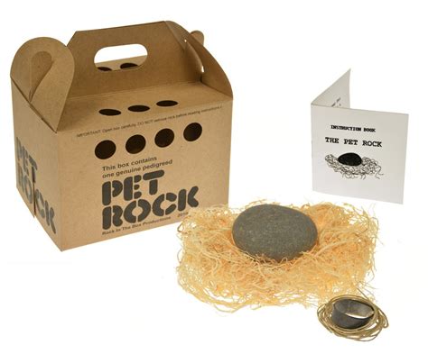 40 Dollar Fishing Buckets And The Case Of The Pet Rock