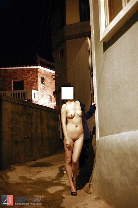 Korean Gal Naked In Public Zb Porn