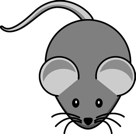 Ratón Gris Animal Gráficos Vectoriales Gratis En Pixabay Pixabay