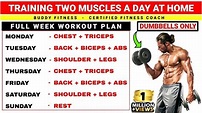 Two Muscle Groups Per Day Workout Plan | Full Week Workout Plan At Home ...