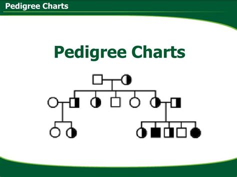 Ppt Pedigree Charts Powerpoint Presentation Free Download Id2680902