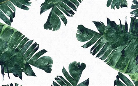 Free Download 50 Tropical Leaves Desktop Wallpapers