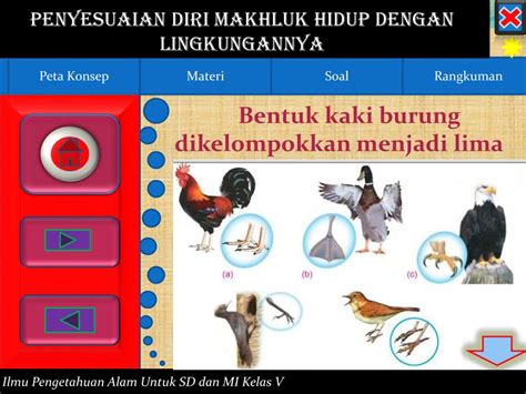 Soal 2 memiliki cakar yang kuat untuk memanjat, tubuh lentur dan dapat masuk ke lubang. PPT - OM SWASTIASTU PowerPoint Presentation, free download - ID:4830653