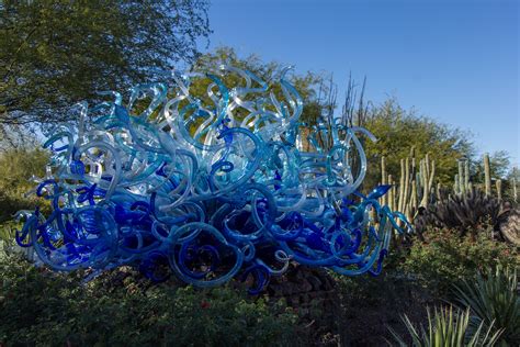Live glass demos and garden talks space needle: chihuly phoenix 2014 | For an illuminated view, evening ...
