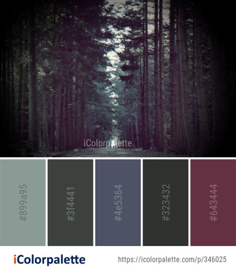 Color Palette Ideas From Woodland Forest Nature Image Icolorpalette