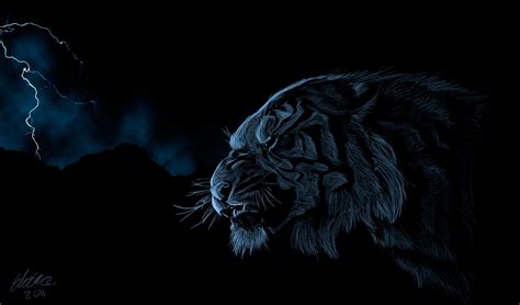 Tiger Dark Wallpapers Wallpaper Cave