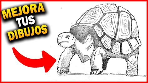 Dibujo Tortuga Facil Dibujo Fácil Tortuga Youtube