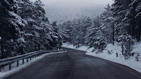 Road Between Fence Snow Covered Trees Forest With Fog Winter Scenery Hd