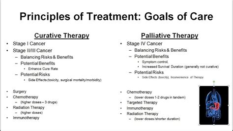 13 Principles Of Treatment Goals Of Care Curative Vs Palliative Youtube