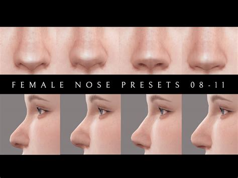 Female Nose Presets 08 11 Lutessasims
