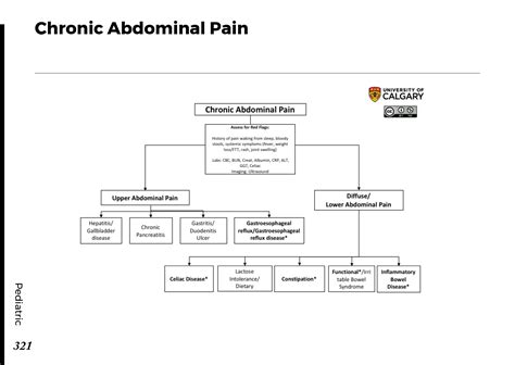 Chronic Abdominal Pain Blackbook Blackbook