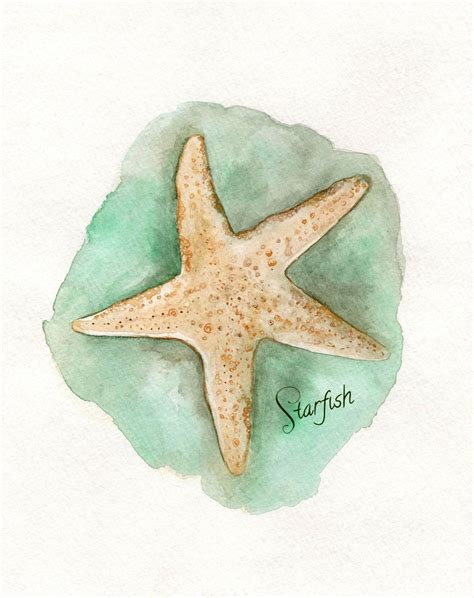 View 20 Best Starfish Watercolor Painting Images Beach Watercolor
