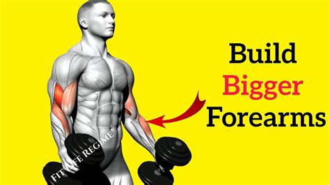 5 Most Effective Brachioradialis Exercises To Build Bigger Forearms
