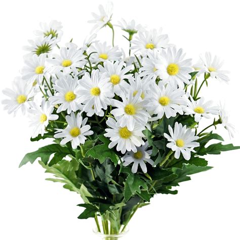 White Daisy Flower Bouquet Ubicaciondepersonascdmxgobmx