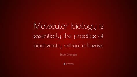 Erwin Chargaff Quote Molecular Biology Is Essentially The Practice Of