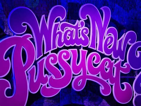 review what s new pussycat at the birmingham rep the theatre twittic