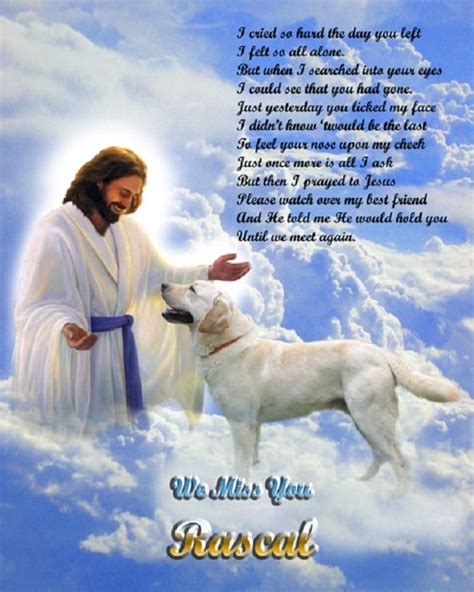 Heavenly Images Dog Heaven Dog Poems Dog Grief