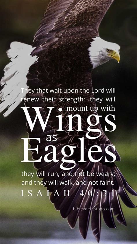 Bald Eagle Isaiah 4031 Encouraging Bible Verses