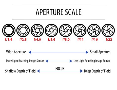 Understanding Aperture in 5 Easy Steps
