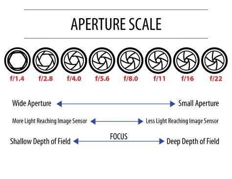 Understanding Aperture In 5 Easy Steps