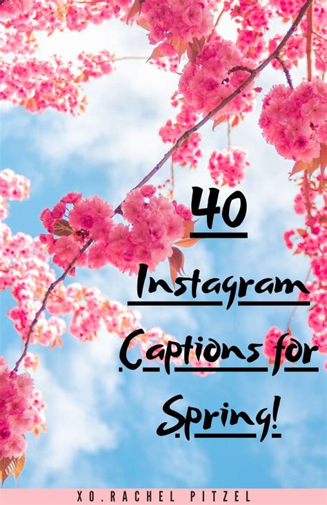 40 Instagram Captions For Spring Instagram Captions For Pictures