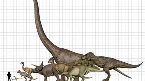 Jwe Size Comparison But The Dinosaurs Are Realistic Sizes The Lost