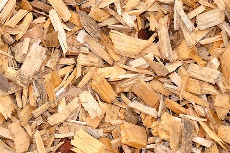 Kastamonu USA – The leading exporter of Wood Chips – SYP Wood Chips