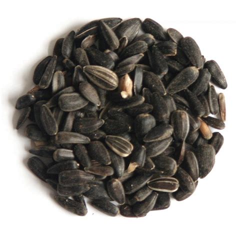 Hutton Mill Black Sunflower Seed 13kg Ar Wholesale