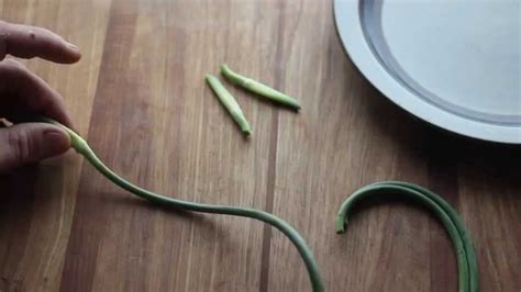 Trimming Garlic Scapes Youtube