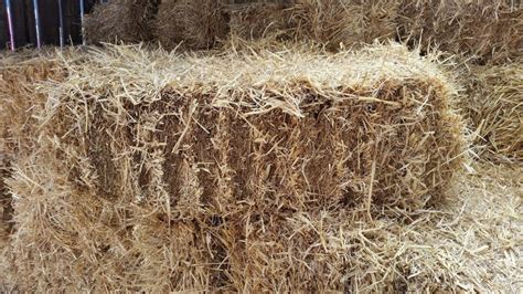Fleet Farm Barley Straw Bales 18kg Free Delivery