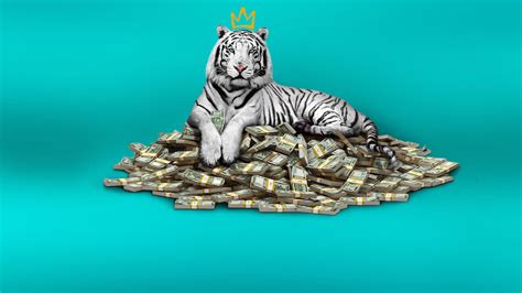 Netflix The White Tiger Hd The White Tiger Wallpapers Hd Wallpapers