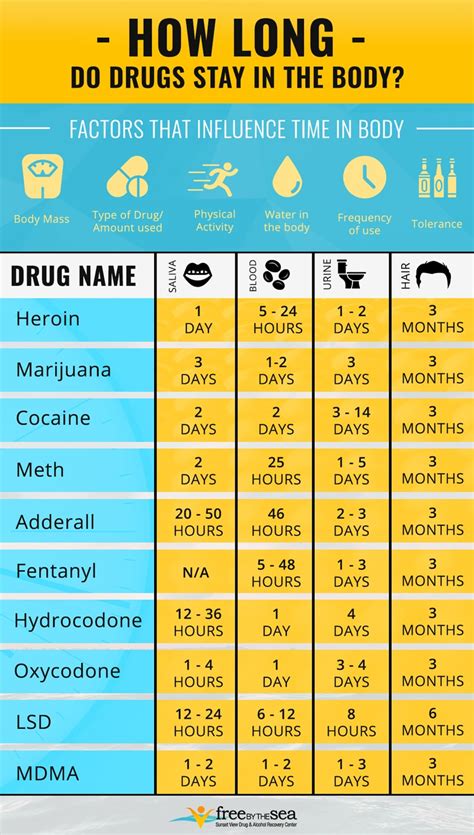 How Long Do Drugs Stay In Your System Free By The Sea