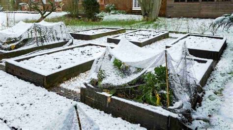 How To Winterize A Raised Garden Bed 9 Easy Steps Thriving Yard