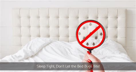 Sleep Tight Dont Let The Bed Bugs Bite