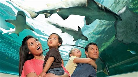 Sea Life Malaysia Is Set To Open On 9th May 2019