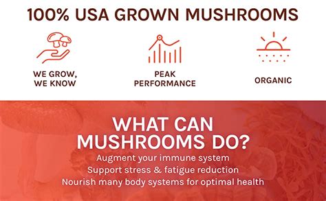 host defense mycoshield spray daily immune support mushroom supplement cinnamon