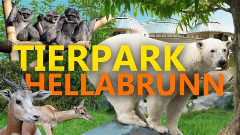 Tierpark Hellabrunn In München Zoo Eindruck Youtube