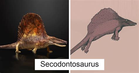 This Artist Depicts How Dinosaurs Actually Looked Like And The Result